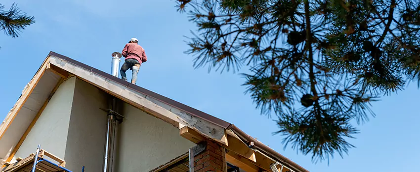 Birds Removal Contractors from Chimney in Alice, TX