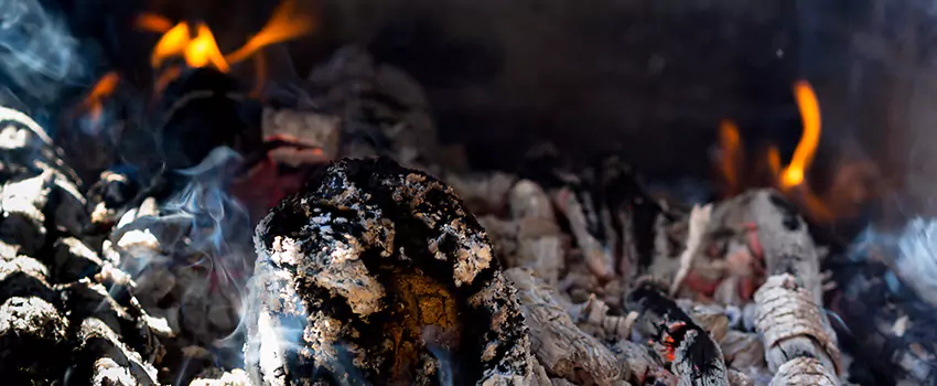 Creosote Removal Experts in Alice, TX