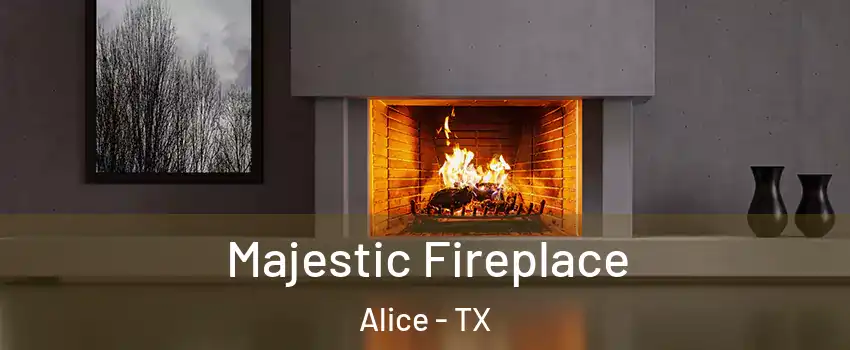  Majestic Fireplace Alice - TX
