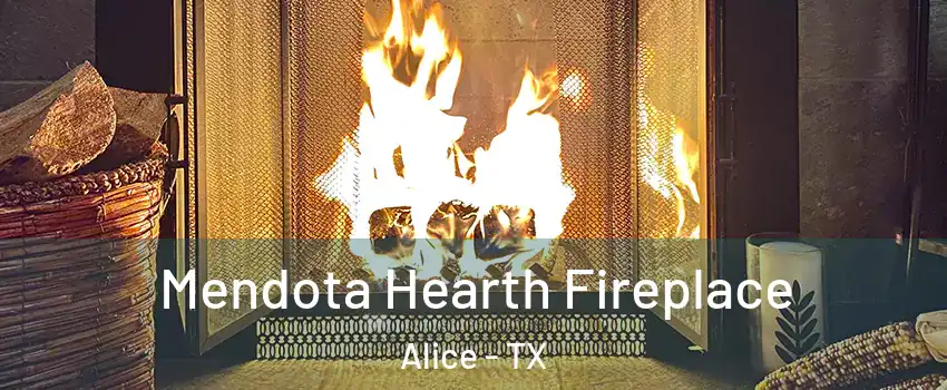  Mendota Hearth Fireplace Alice - TX