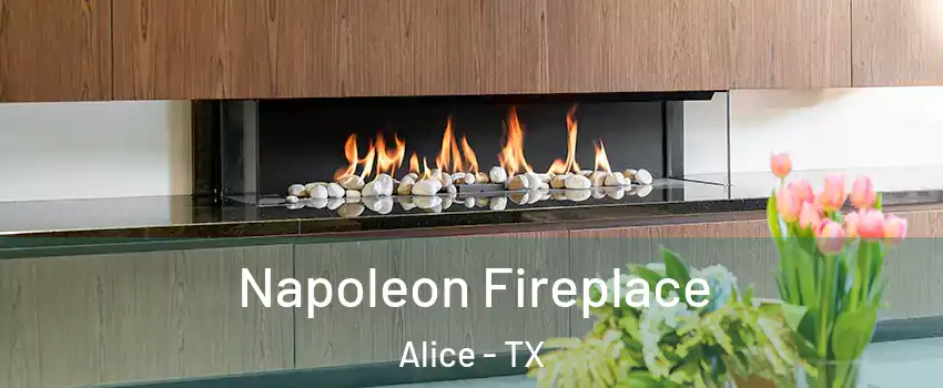  Napoleon Fireplace Alice - TX