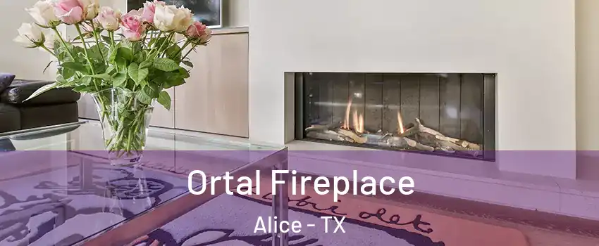  Ortal Fireplace Alice - TX