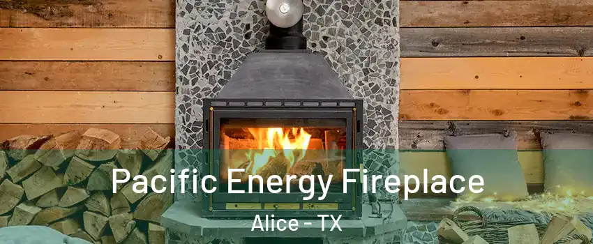  Pacific Energy Fireplace Alice - TX