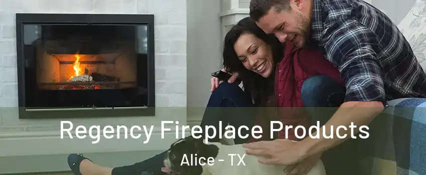  Regency Fireplace Products Alice - TX