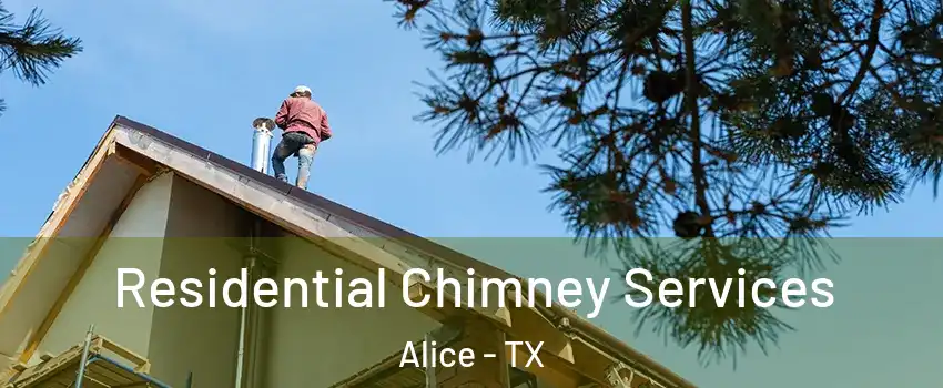  Residential Chimney Services Alice - TX