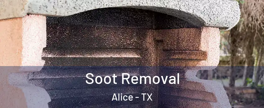  Soot Removal Alice - TX