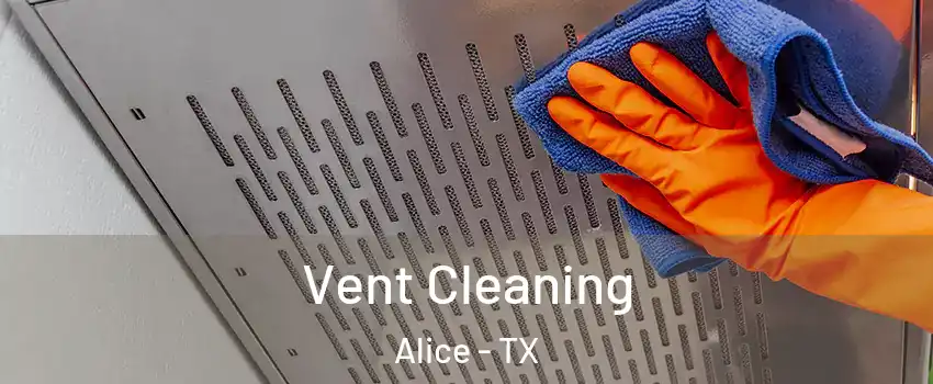  Vent Cleaning Alice - TX