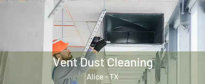  Vent Dust Cleaning Alice - TX