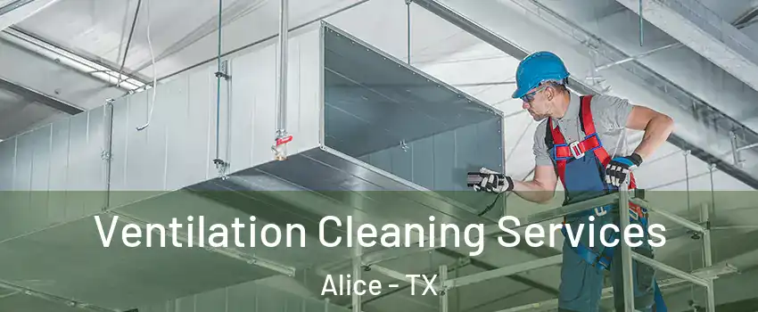  Ventilation Cleaning Services Alice - TX