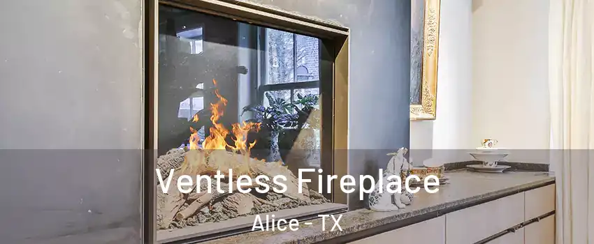  Ventless Fireplace Alice - TX