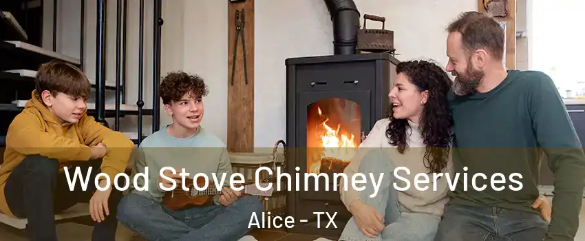  Wood Stove Chimney Services Alice - TX
