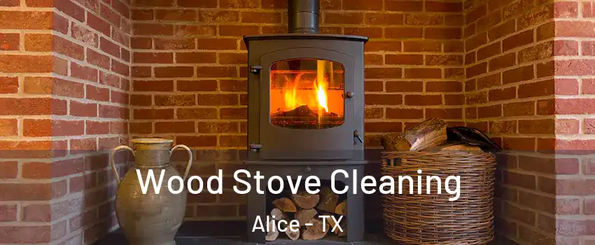  Wood Stove Cleaning Alice - TX